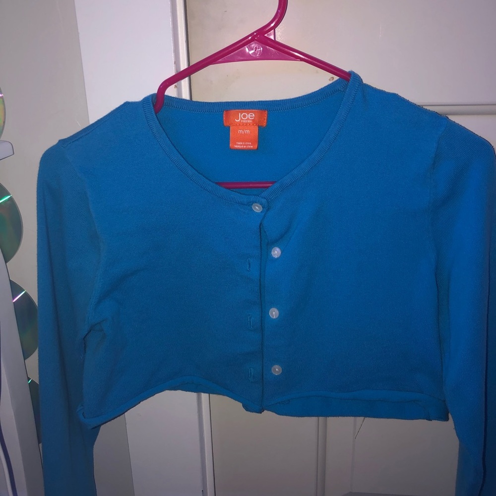 Blue Cardigan